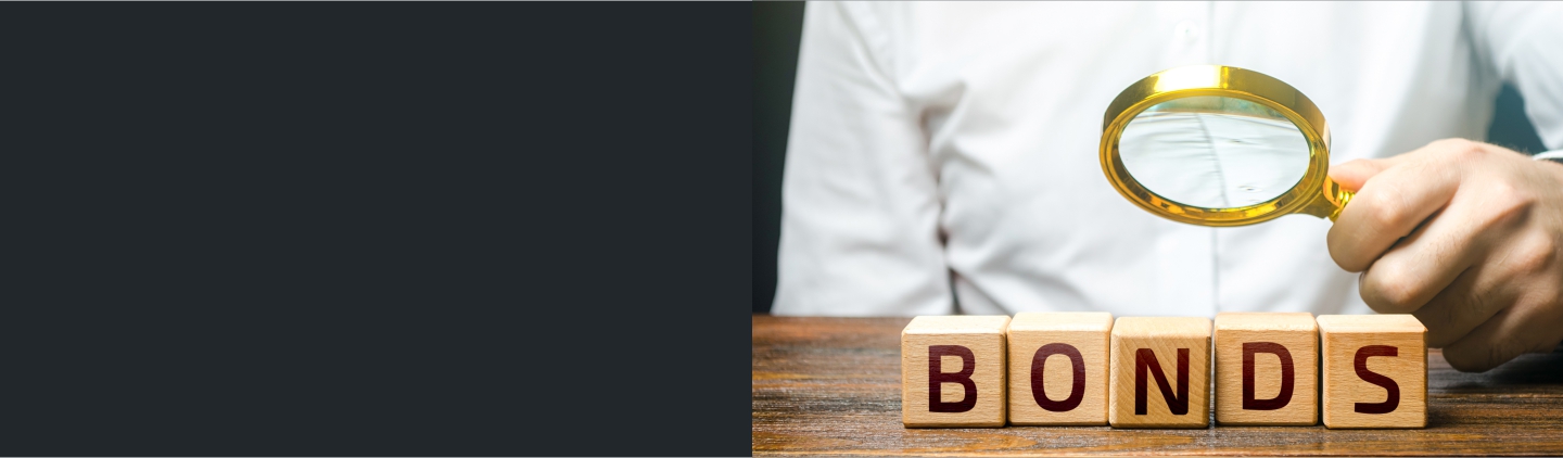 Government Securities and Bonds